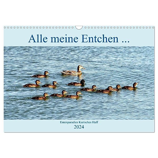 Alle meine Entchen ... Entenparadies Kurisches Haff (Wandkalender 2024 DIN A3 quer), CALVENDO Monatskalender, Henning von Löwis of Menar