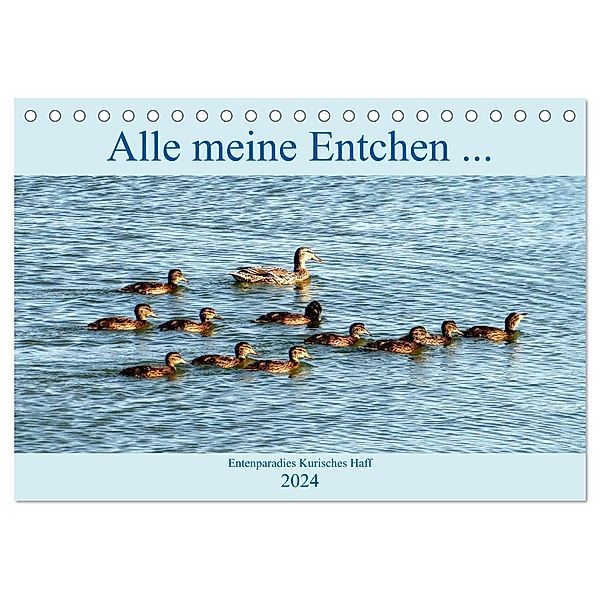 Alle meine Entchen ... Entenparadies Kurisches Haff (Tischkalender 2024 DIN A5 quer), CALVENDO Monatskalender, Henning von Löwis of Menar