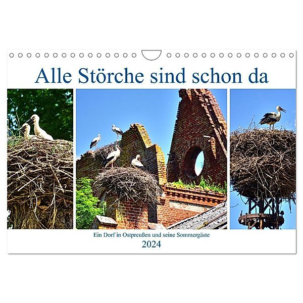 Alle Störche sind schon da - Ein Dorf in Ostpreußen und seine Sommergäste (Wandkalender 2024 DIN A4 quer), CALVENDO Monatskalender, Henning von Löwis of Menar