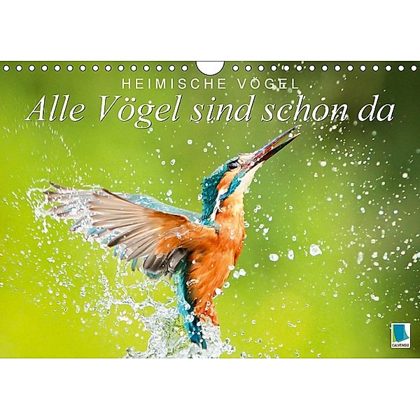 Alle Vögel sind schon da: Heimische Vögel (Wandkalender 2018 DIN A4 quer), CALVENDO