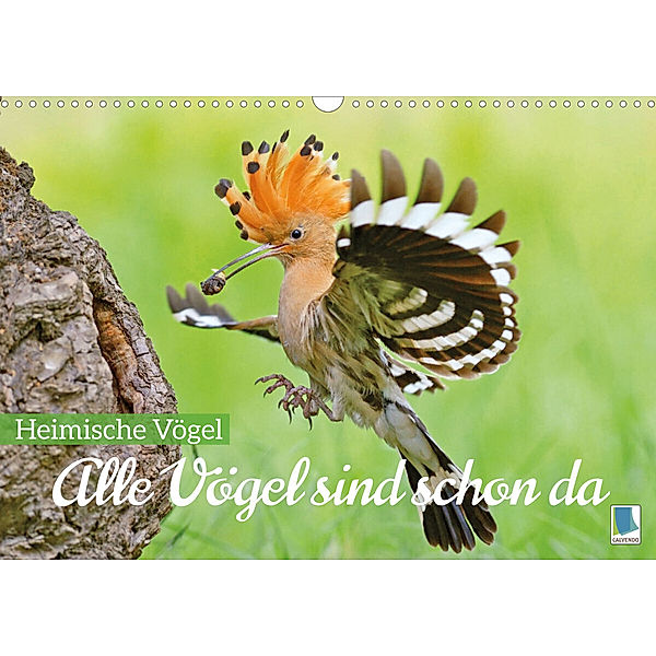 Alle Vögel sind schon da: Heimische Vögel (Wandkalender 2023 DIN A3 quer), Calvendo