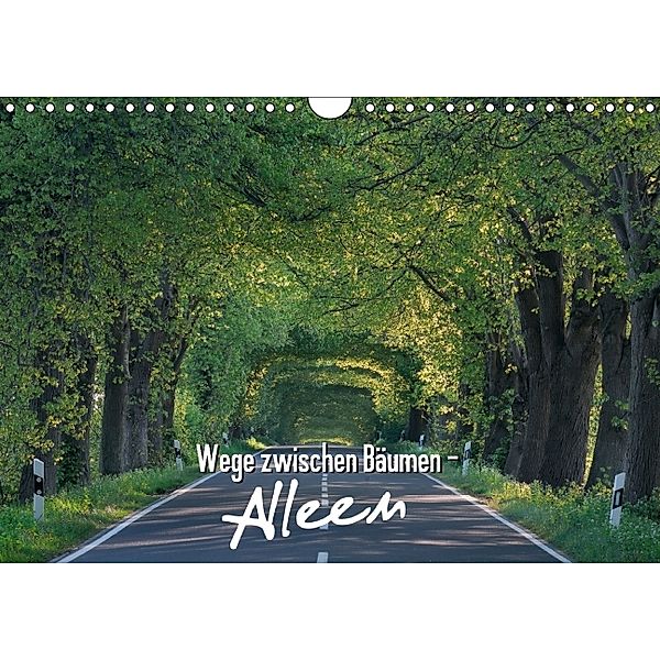 Alleen: Wege zwischen Bäumen (Wandkalender 2014 DIN A4 quer)