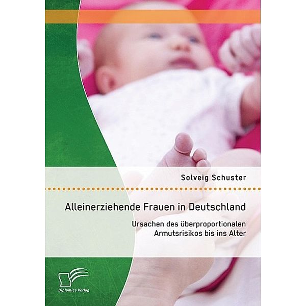 Alleinerziehende Frauen in Deutschland: Ursachen des überproportionalen Armutsrisikos bis ins Alter, Solveig Schuster