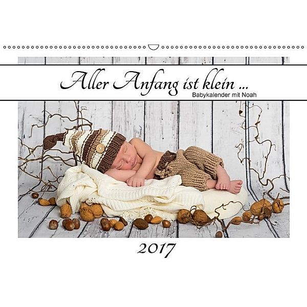 Aller Anfang ist klein - Babykalender mit Noah (Wandkalender 2017 DIN A2 quer), Hetizia Fotodesign