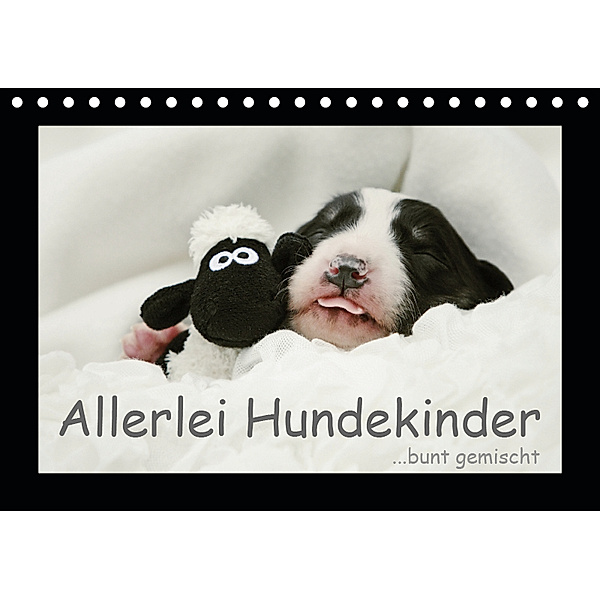 Allerlei Hundekinder (Tischkalender 2019 DIN A5 quer), Kathrin Köntopp