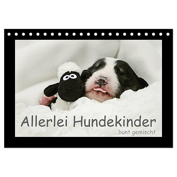 Allerlei Hundekinder (Tischkalender 2024 DIN A5 quer), CALVENDO Monatskalender, Kathrin Köntopp