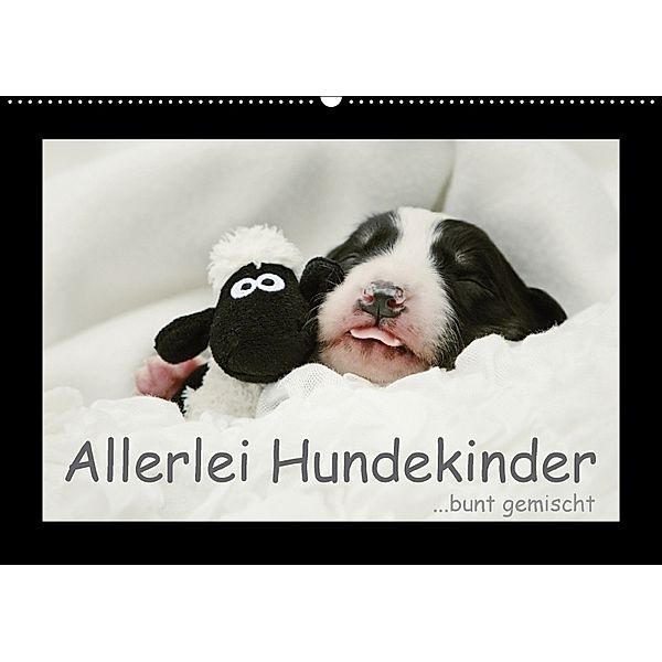 Allerlei Hundekinder (Wandkalender 2018 DIN A2 quer), Kathrin Köntopp