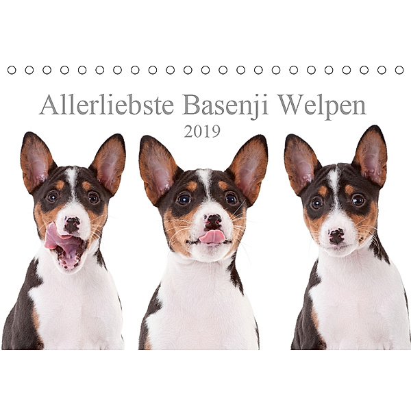 Allerliebste Basenji Welpen 2019 (Tischkalender 2019 DIN A5 quer), Angelika Joswig