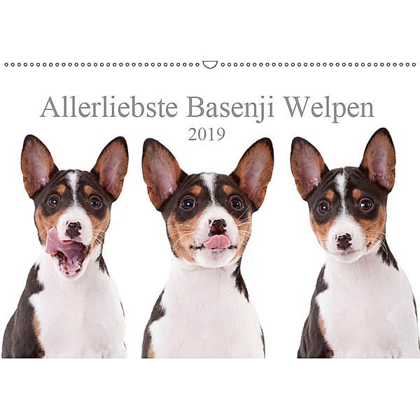 Allerliebste Basenji Welpen 2019 (Wandkalender 2019 DIN A2 quer), Angelika Joswig