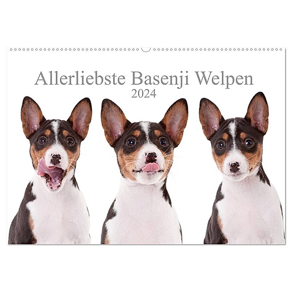 Allerliebste Basenji Welpen 2024 (Wandkalender 2024 DIN A2 quer), CALVENDO Monatskalender, Angelika Joswig
