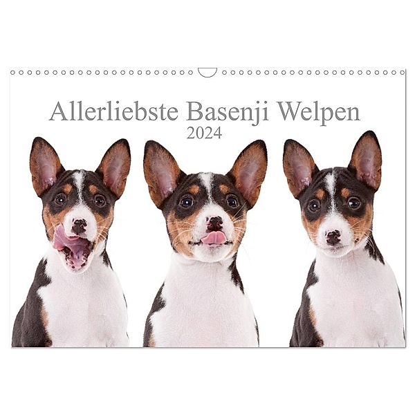 Allerliebste Basenji Welpen 2024 (Wandkalender 2024 DIN A3 quer), CALVENDO Monatskalender, Angelika Joswig