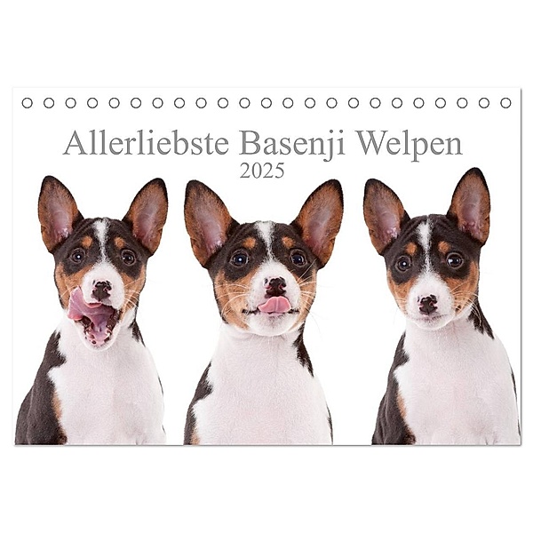 Allerliebste Basenji Welpen 2025 (Tischkalender 2025 DIN A5 quer), CALVENDO Monatskalender, Calvendo, Angelika Joswig