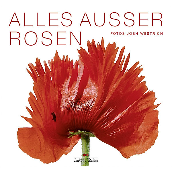 Alles ausser Rosen, Joachim Meyer
