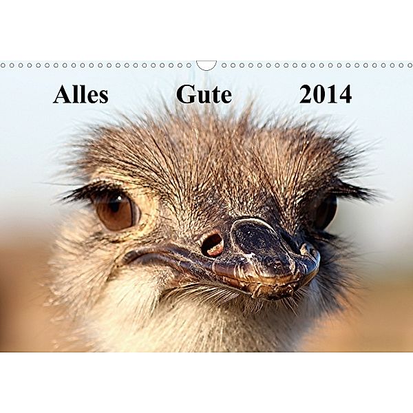 Alles Gute 2014 (Wandkalender 2014 DIN A3 quer), Bernd Witkowski