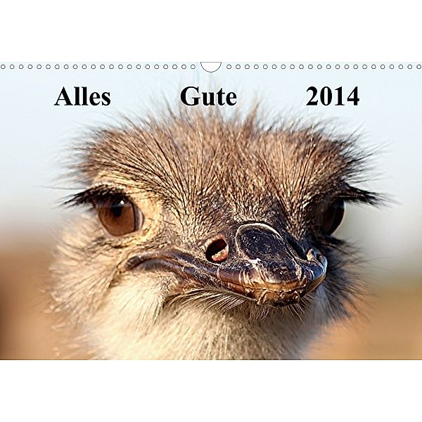 Alles Gute 2014 (Wandkalender 2014 DIN A4 quer), Bernd Witkowski