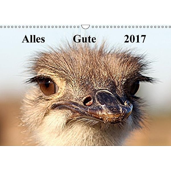 Alles Gute 2017 (Wandkalender 2017 DIN A3 quer), Bernd Witkowski