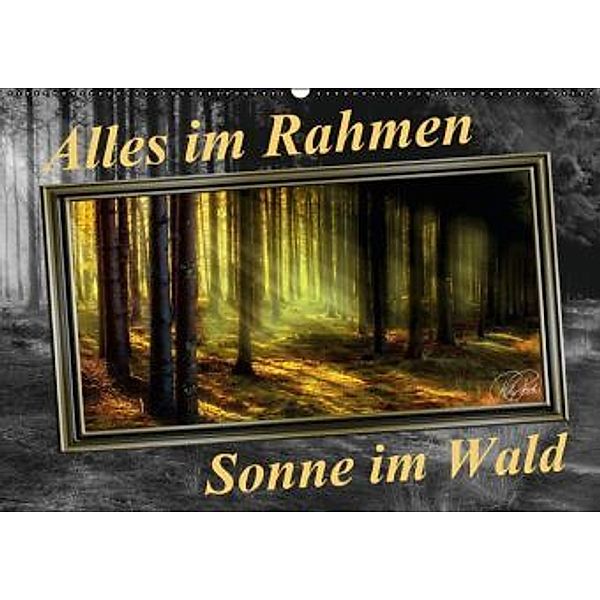 Alles im Rahmen - Sonne im Wald / CH-Version / Geburtstagskalender (Wandkalender 2016 DIN A2 quer), Peter Roder