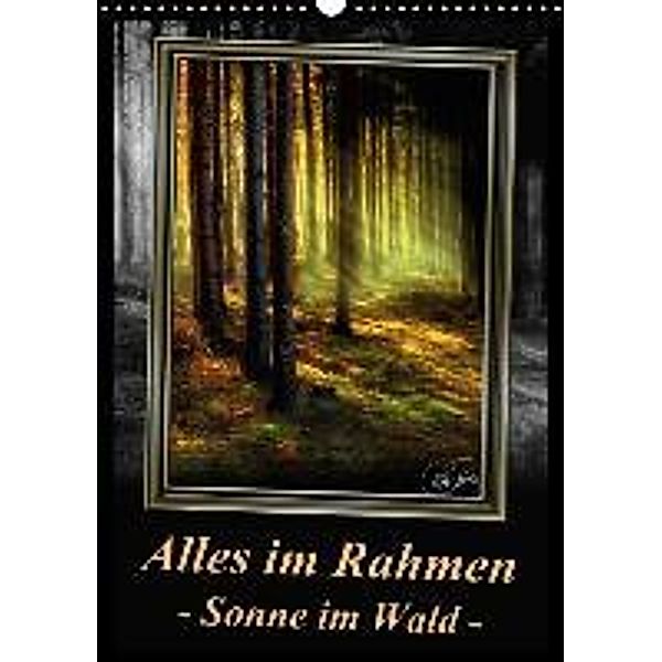 Alles im Rahmen - Sonne im Wald / Planer (Wandkalender 2015 DIN A3 hoch), Peter Roder