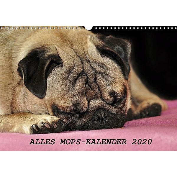 Alles Mops-Kalender 2020 (Wandkalender 2020 DIN A3 quer), Sonja Hofmann