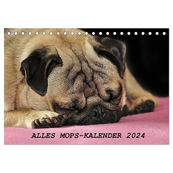 Alles Mops-Kalender 2024 (Tischkalender 2024 DIN A5 quer), CALVENDO Monatskalender, Sonja Hofmann