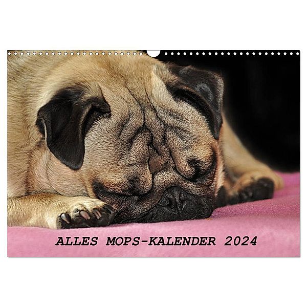 Alles Mops-Kalender 2024 (Wandkalender 2024 DIN A3 quer), CALVENDO Monatskalender, Sonja Hofmann