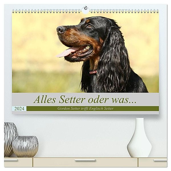 Alles Setter oder was (hochwertiger Premium Wandkalender 2024 DIN A2 quer), Kunstdruck in Hochglanz, Hundefotografie Bea Müller