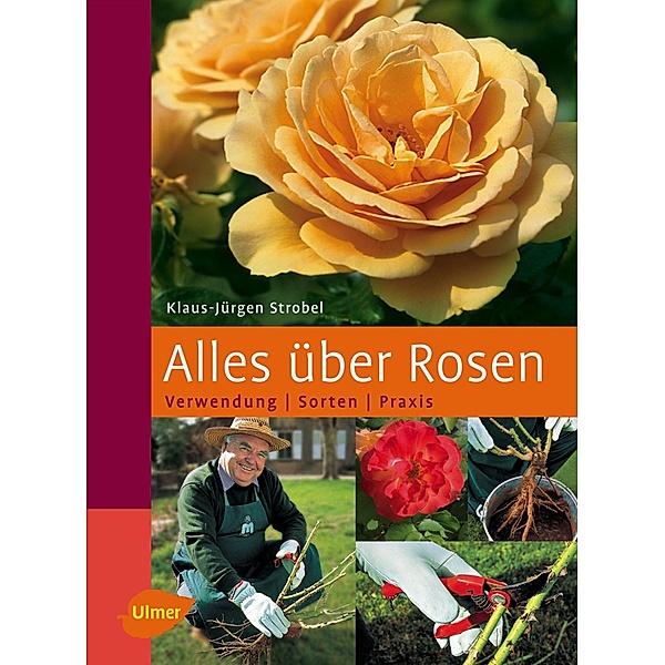 Alles über Rosen, Klaus-Jürgen Strobel