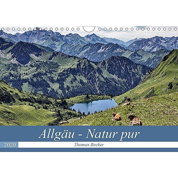 Allgäu - Natur pur (Wandkalender 2020 DIN A4 quer), Thomas Becker