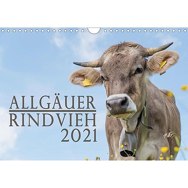 Allgäuer Rindvieh 2021 (Wandkalender 2021 DIN A4 quer), Juliane Wandel