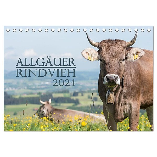 Allgäuer Rindvieh 2024 (Tischkalender 2024 DIN A5 quer), CALVENDO Monatskalender, Juliane Wandel
