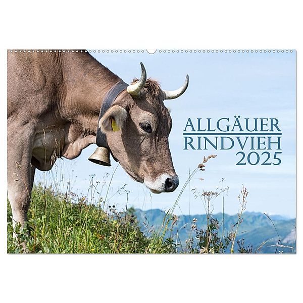 Allgäuer Rindvieh 2025 (Wandkalender 2025 DIN A2 quer), CALVENDO Monatskalender, Calvendo, Juliane Wandel