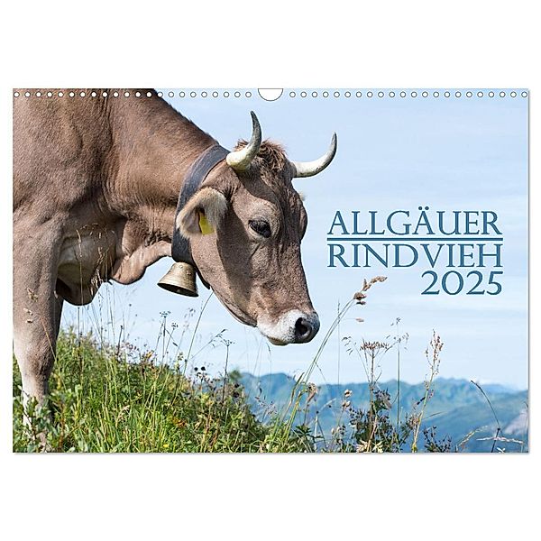 Allgäuer Rindvieh 2025 (Wandkalender 2025 DIN A3 quer), CALVENDO Monatskalender, Calvendo, Juliane Wandel