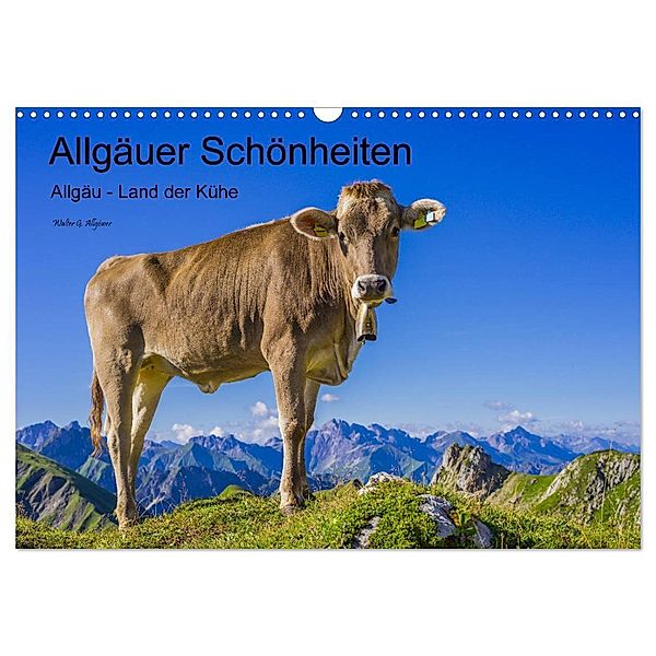 Allgäuer Schönheiten Allgäu - Land der Kühe (Wandkalender 2024 DIN A3 quer), CALVENDO Monatskalender, Walter G. Allgöwer