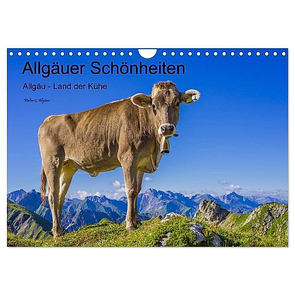 Allgäuer Schönheiten Allgäu - Land der Kühe (Wandkalender 2024 DIN A4 quer), CALVENDO Monatskalender, Walter G. Allgöwer