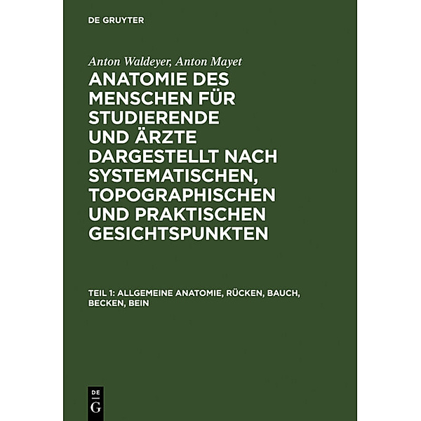 Allgemeine Anatomie, Rücken, Bauch, Becken, Bein, Anton Waldeyer, Anton Mayet