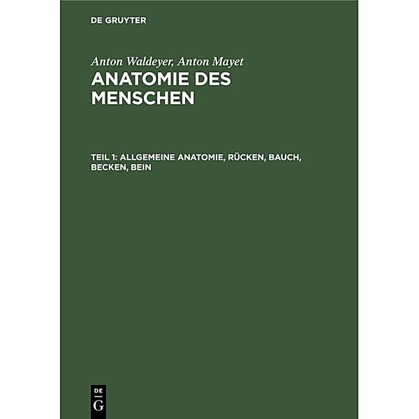 Allgemeine Anatomie, Rücken, Bauch, Becken, Bein, Anton Waldeyer, Anton Mayet