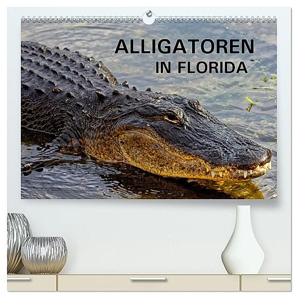 ALLIGATOREN in Florida (hochwertiger Premium Wandkalender 2024 DIN A2 quer), Kunstdruck in Hochglanz, Dieter Wilczek