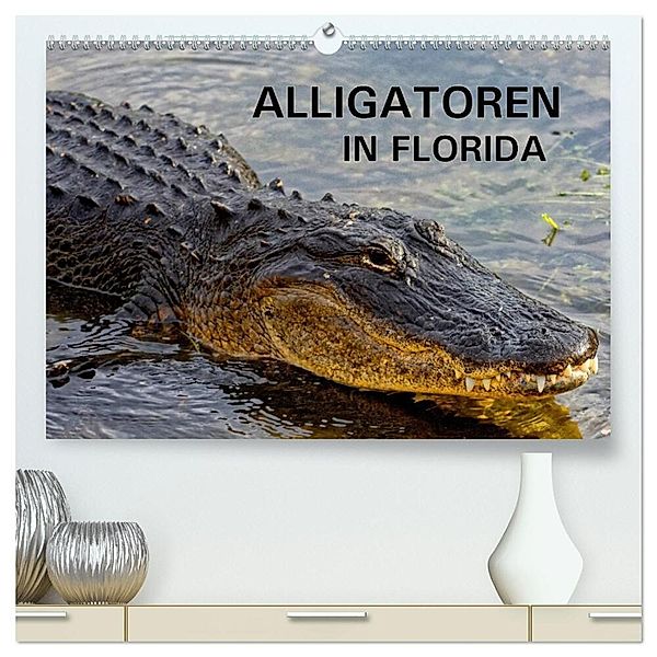 ALLIGATOREN in Florida (hochwertiger Premium Wandkalender 2025 DIN A2 quer), Kunstdruck in Hochglanz, Calvendo, Dieter Wilczek