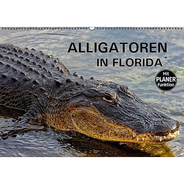 ALLIGATOREN IN FLORIDA (Wandkalender 2017 DIN A2 quer), Dieter-M. Wilczek