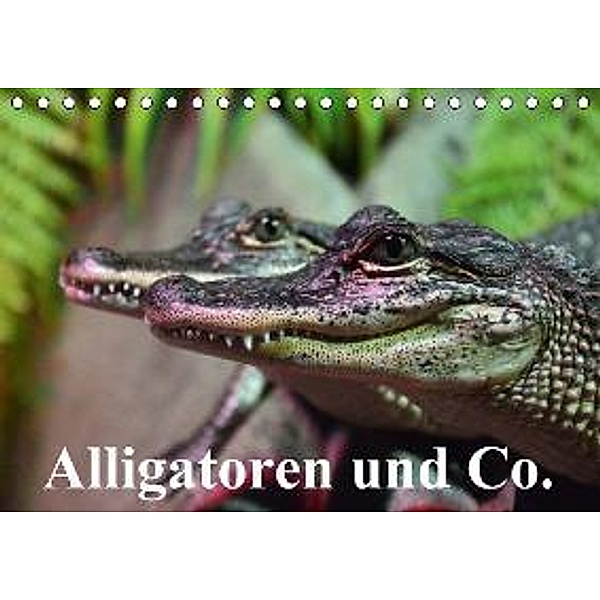 Alligatoren und Co. (Tischkalender 2015 DIN A5 quer), Elisabeth Stanzer