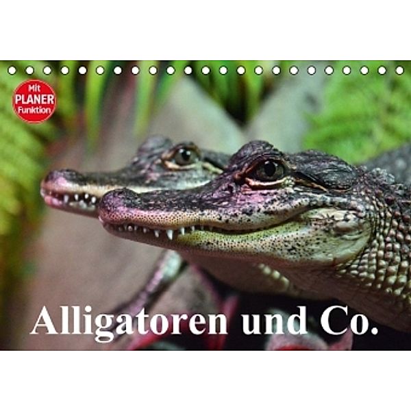 Alligatoren und Co. (Tischkalender 2016 DIN A5 quer), Elisabeth Stanzer