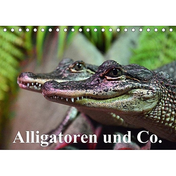 Alligatoren und Co. (Tischkalender 2017 DIN A5 quer), Elisabeth Stanzer
