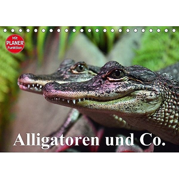Alligatoren und Co. (Tischkalender 2018 DIN A5 quer), Elisabeth Stanzer
