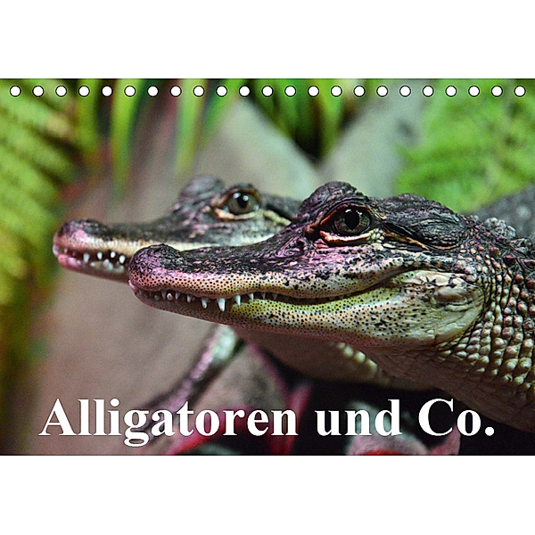 Alligatoren und Co. (Tischkalender 2019 DIN A5 quer), Elisabeth Stanzer