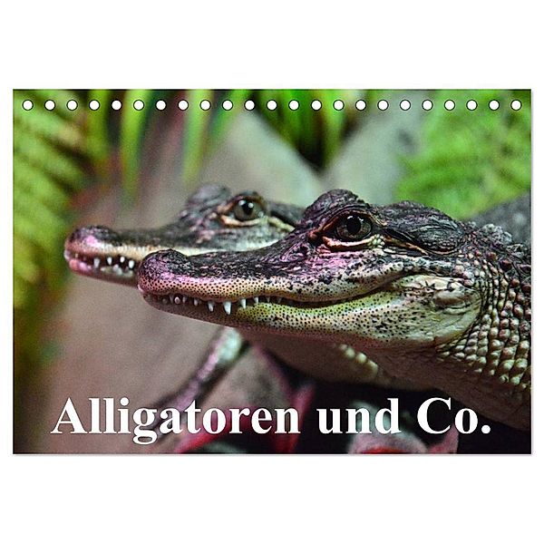 Alligatoren und Co. (Tischkalender 2024 DIN A5 quer), CALVENDO Monatskalender, Elisabeth Stanzer
