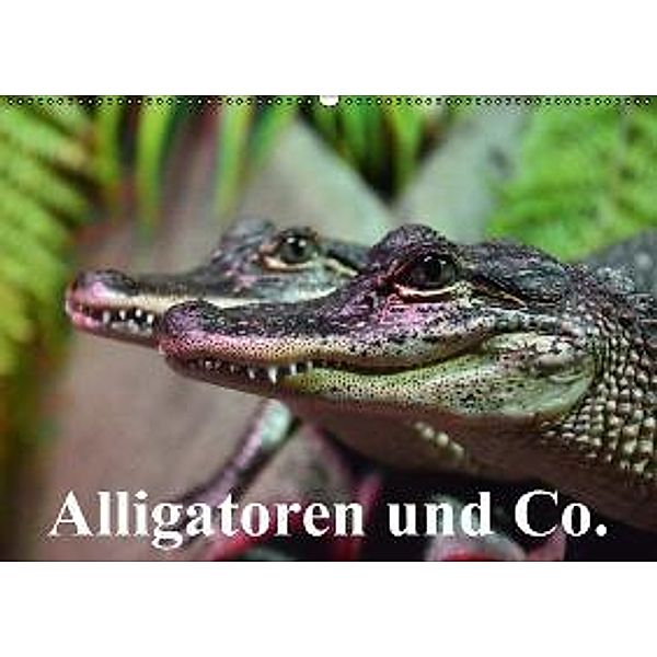 Alligatoren und Co. (Wandkalender 2015 DIN A2 quer), Elisabeth Stanzer