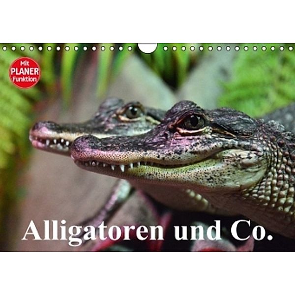 Alligatoren und Co. (Wandkalender 2016 DIN A4 quer), Elisabeth Stanzer
