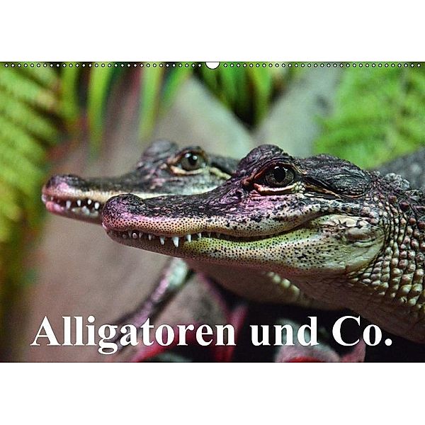 Alligatoren und Co. (Wandkalender 2017 DIN A2 quer), Elisabeth Stanzer