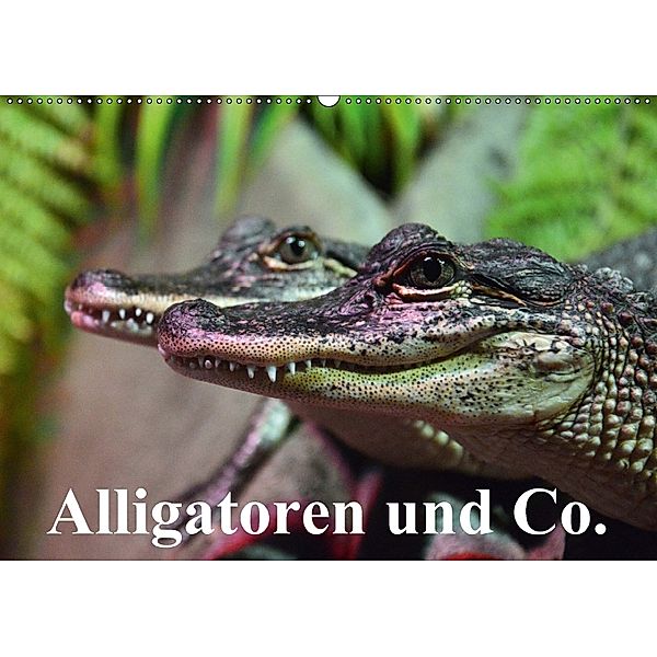 Alligatoren und Co. (Wandkalender 2018 DIN A2 quer), Elisabeth Stanzer