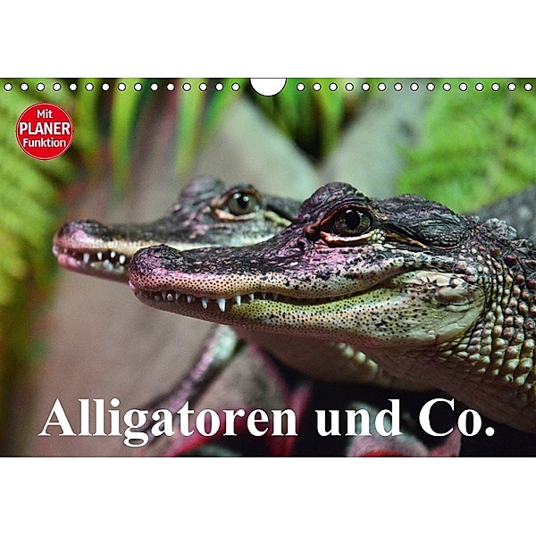 Alligatoren und Co. (Wandkalender 2018 DIN A4 quer), Elisabeth Stanzer